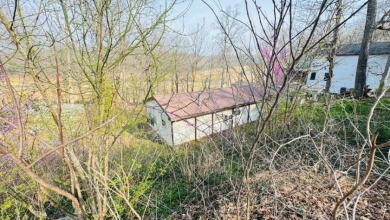 Charming Cottage with Dock Access & Stunning Views! Call Josh! - photo 6