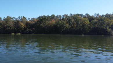 Lake Acreage For Sale in Bainbridge, Georgia