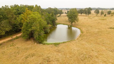 (private lake, pond, creek) Acreage For Sale in Alton Missouri