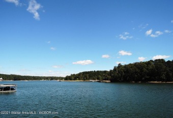 LEWIS SMITH LAKE - DEEP CRYSTAL CLEAR WATER ! Solid rock SOLD - Lake Lot SOLD! in Double Springs, Alabama