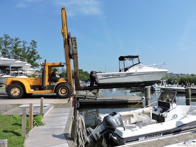 Established full-service marina known as Swezey's Hart Cove - photo 11