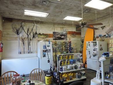 Established full-service marina known as Swezey's Hart Cove - photo 12