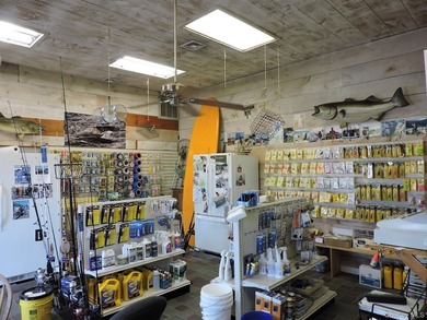 Established full-service marina known as Swezey's Hart Cove - photo 13