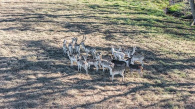 Exceptional 15.77-acre ranch property located in Franklin County - photo 14