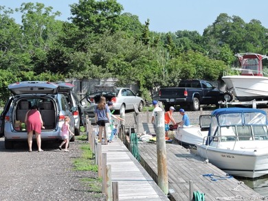 Established full-service marina known as Swezey's Hart Cove - photo 14