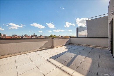 This luxurious condominium penthouse atop a modern elevator - photo 15