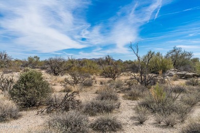 Located on a stunning 2.1-acre site, this to-be-built home - photo 38