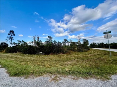 Port Charlotte Waterway Area Lot For Sale in Port Charlotte Florida
