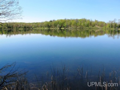 Stateline Lake Lot For Sale in Marenisco Michigan