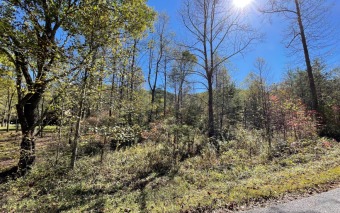 BEAUTIFULLY WOODED 4+ ACRES IN THE NORTH GEORGIA MOUNTAINS!! - Lake Lot For Sale in Hiawassee, Georgia