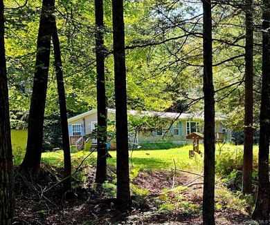 Private wooded lot. Easy access to towns and delaware river - photo 4