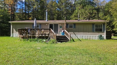 Private wooded lot. Easy access to towns and delaware river - photo 8