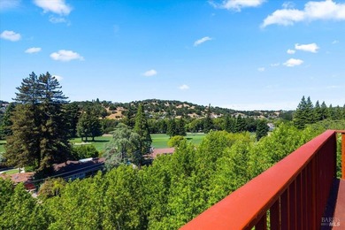 Diamond in the rough in the highly desirable Marin Country Club - photo 19