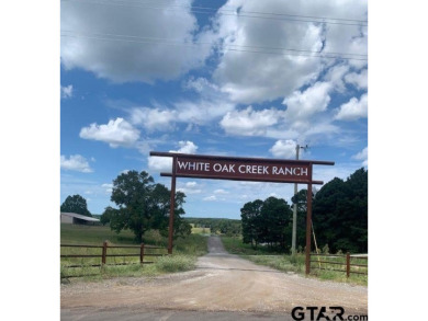 Lake Acreage For Sale in Big Sandy, Texas