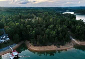Lot 8 Eagle Pointe Landing on Smith Lake,  great building lots - Lake Lot For Sale in Double Springs, Alabama