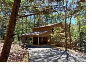 Lake Home For Sale in Ellijay, Georgia