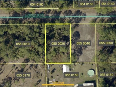 Lehigh Acres Area Lot For Sale in Lehigh Acres Florida