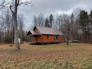 Lake Home For Sale in Bergland, Michigan