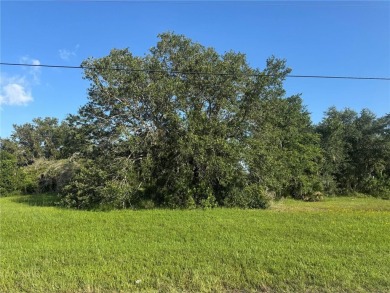 Peace River Lot Sale Pending in Arcadia Florida