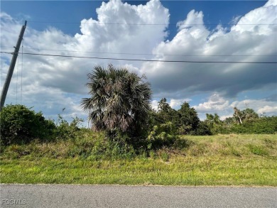 Peace River Lot For Sale in Punta Gorda Florida