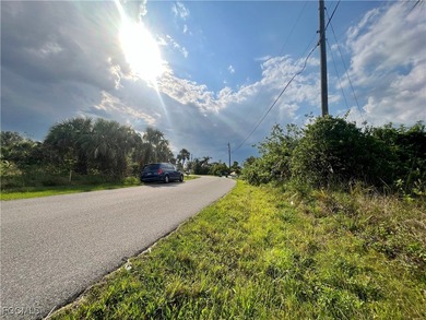 Fantastic lot located in the beautiful community of Harbour - photo 3