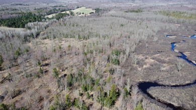 (private lake, pond, creek) Acreage For Sale in Merrill Wisconsin