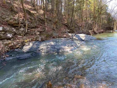 PARK-LIKE SETTING on 21 pristine acres near National Forest - photo 7
