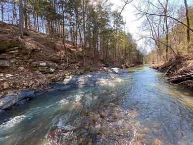 PARK-LIKE SETTING on 21 pristine acres near National Forest - photo 8