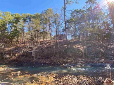 PARK-LIKE SETTING on 21 pristine acres near National Forest - photo 9
