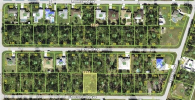 Port Charlotte Waterway Area Lot For Sale in Punta Gorda Florida