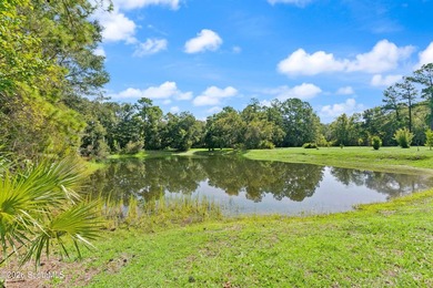 Welcome to Serenoa Cove! This beautiful four-bedroom - photo 42