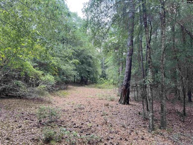 (private lake, pond, creek) Acreage For Sale in Salley South Carolina