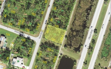 Lake Lot For Sale in Port Charlotte, Florida