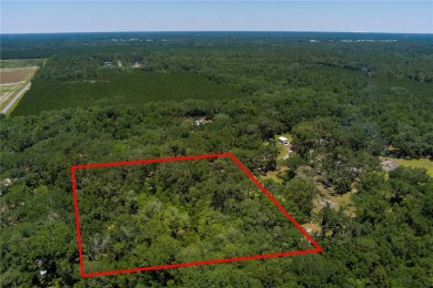 (private lake, pond, creek) Acreage For Sale in Live Oak Florida