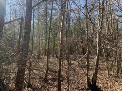 Lake Acreage For Sale in Princeton, Arkansas