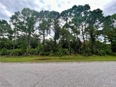 Port Charlotte Waterway Lakes Area Lot For Sale in Port Charlotte Florida