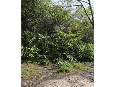 St. Johns River Lot For Sale in Jacksonville Florida