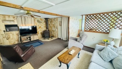 Charming Cottage with Dock Access & Stunning Views! Call Josh! - photo 10