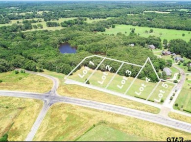 (private lake, pond, creek) Lot For Sale in Mount Pleasant Texas