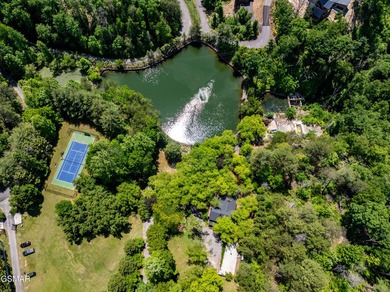 A Buyer's Dream Wrapped in Total Seclusion on ~26 Smoky Mountain - photo 1