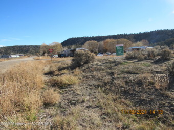 Navajo Reservoir Lot For Sale in Navajo Dam New Mexico