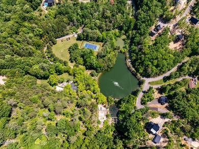 A Buyer's Dream Wrapped in Total Seclusion on ~26 Smoky Mountain - photo 2