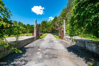 A Buyer's Dream Wrapped in Total Seclusion on ~26 Smoky Mountain - photo 3