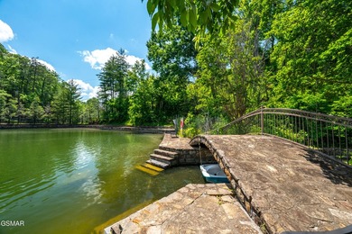 A Buyer's Dream Wrapped in Total Seclusion on ~26 Smoky Mountain - photo 4