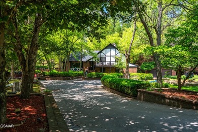 A Buyer's Dream Wrapped in Total Seclusion on ~26 Smoky Mountain - photo 6