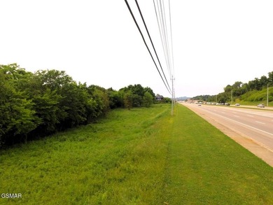 7.61+/- Acres, 1,912' of frontage on Winfield Dunn Parkway, Hwy - photo 8