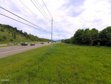 7.61+/- Acres, 1,912' of frontage on Winfield Dunn Parkway, Hwy - photo 9