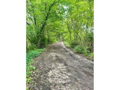 7.61+/- Acres, 1,912' of frontage on Winfield Dunn Parkway, Hwy - photo 10