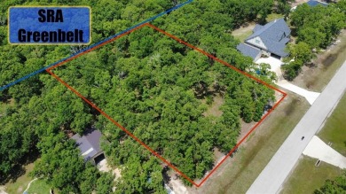 Lake Lot Sale Pending in Quinlan, Texas
