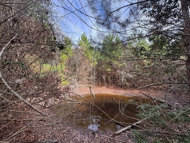 Discover the perfect blend of privacy, natural beauty, and - photo 11
